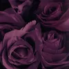 idkses1