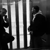 brado_802