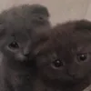 justgetmeoutbro