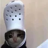 hxrhxj