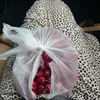 ladyyappt