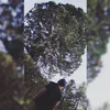 _mxchi99_