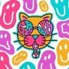 groovycatgarms
