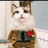 yasmeenashraf636