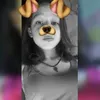 carmen_cacah
