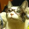 bugboo13_