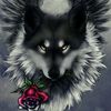 spxce_sock