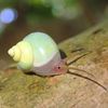 _snailtrail