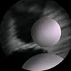androcos