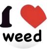 fwcelesteee_