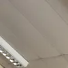 izzyfxllon