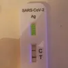 el_rano1