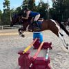 horselover1001