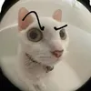 meeping0