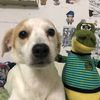 akamaru_seb