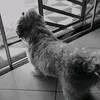 user193948298