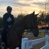 mohammed_rides