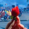 noname_maret
