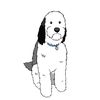 Dougy