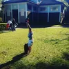 carol_1234linda