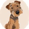 elmerthewelshterrier