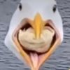 aashnoell