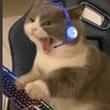 maydxsti