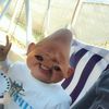 elmiloacevedo