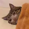 petite_patate_kawaiiii