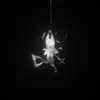 𝘄𝗶𝗻 🕷️