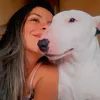 gokubullterrier