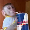 marodzair