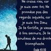 uniquejojoboisron