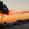 user199122_