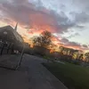 amymodgie