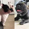 gucci_joker_frenchies