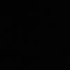 anntopazp