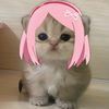 ririrvkie