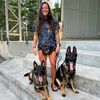 KitKat_K9trainer