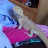 millybeans10