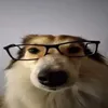 barwik11