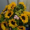 user0123c0123r