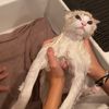 mescreamingallthetime