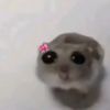 winniiiebell