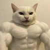 _justhatonedude_