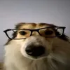katiewdo