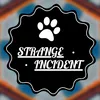 Strange Incident