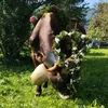 philippvallaster