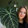 kerstinplants