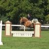 crazy.equestrian